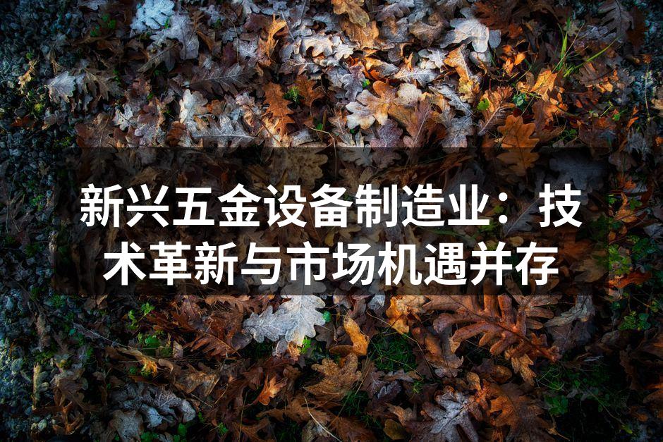 新兴五金设备制造业：技术革新与市场机遇并